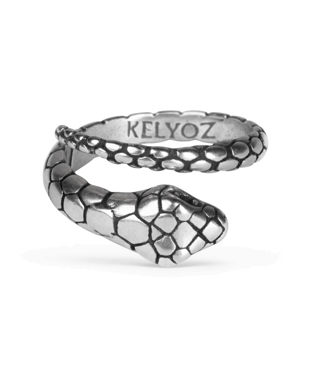 Why are snakes a powerful symbol in Jewelry and Art?